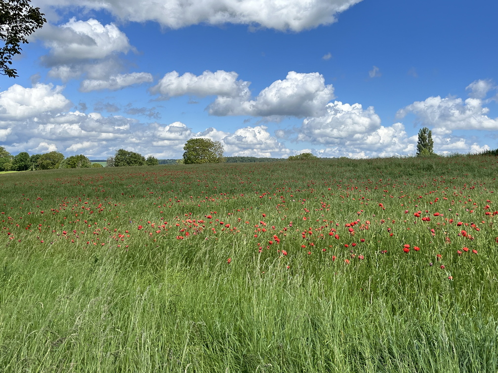 24-05-18 14-13-40 9462